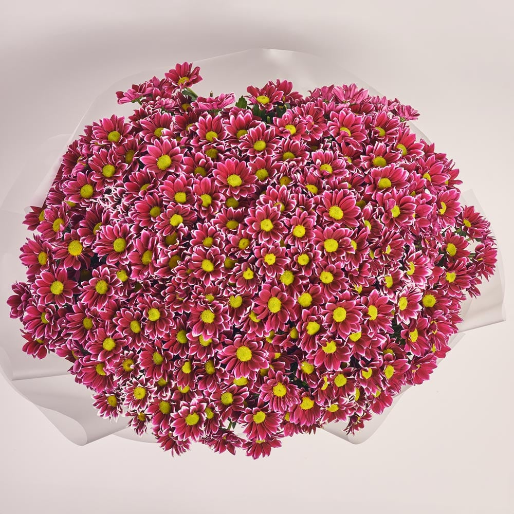 https://florist.buket82.ru/wp-content/uploads/2025/03/flower-gallery-9-1-min.jpg