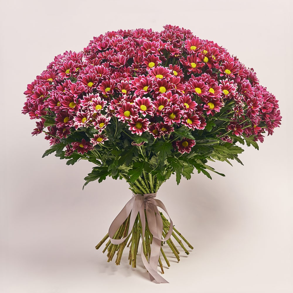 https://florist.buket82.ru/wp-content/uploads/2025/03/flower-gallery-9-3-min.jpg