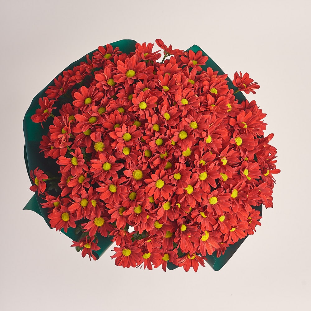 https://florist.buket82.ru/wp-content/uploads/2025/03/gallery-flover-one-2-min.jpg